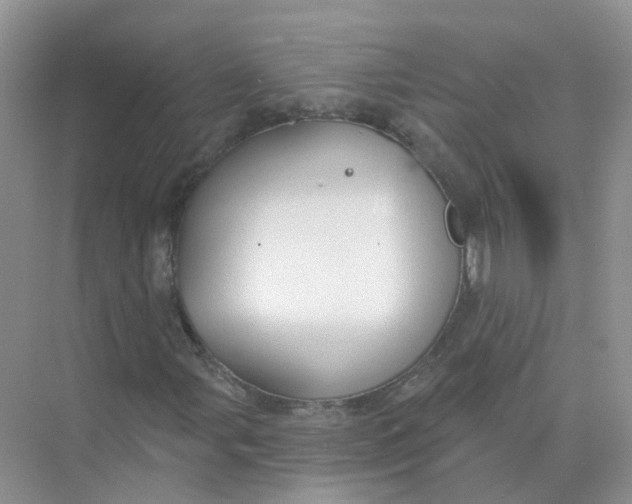 X0000073871107200608312045