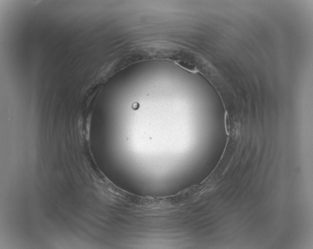 X0000073871108200608312045