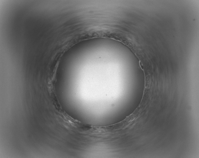 X0000073871109200608312045