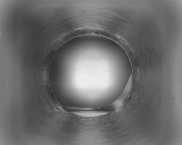 X0000073871110200608312045