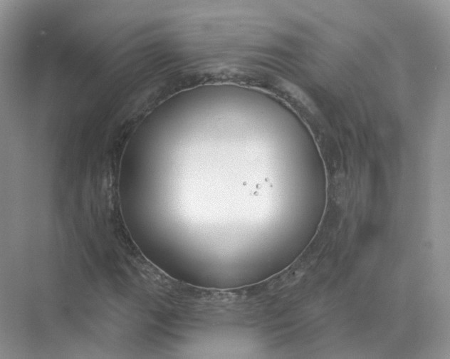 X0000073871111200608312045