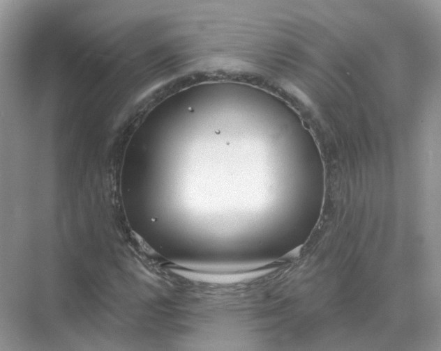 X0000073871112200608312045