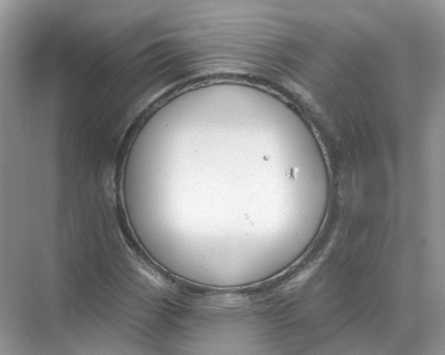 X0000073871113200608312045