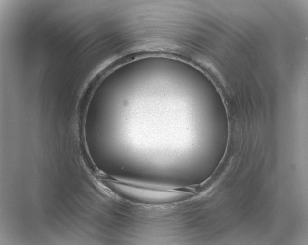 X0000073871114200608312045