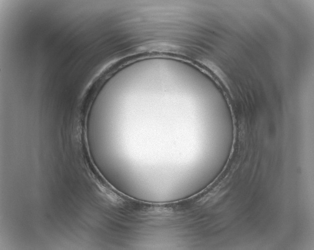 X0000073871115200608312045