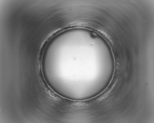 X0000073871117200608312045