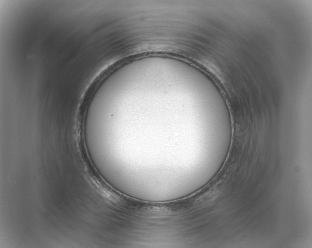 X0000073871119200608312045