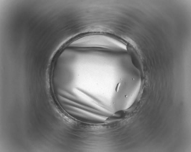 X0000073871120200608312045