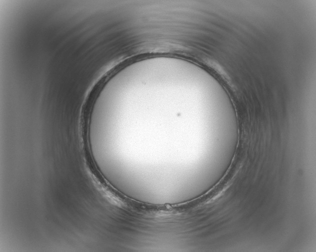 X0000073871122200608312045