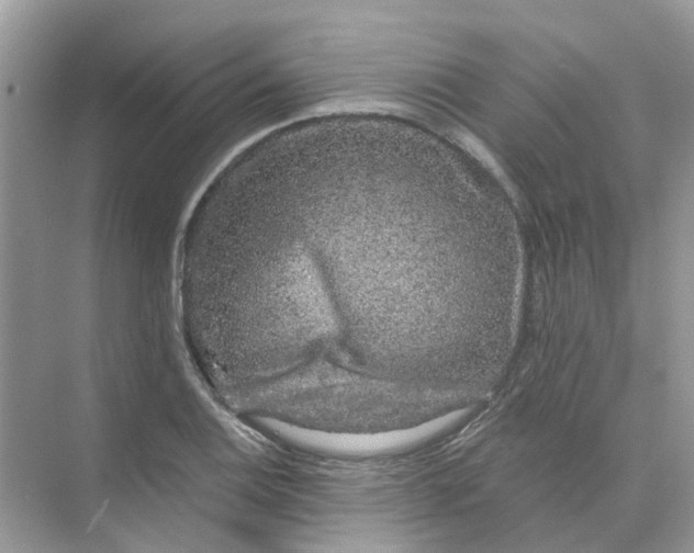 X0000073871124200608312045