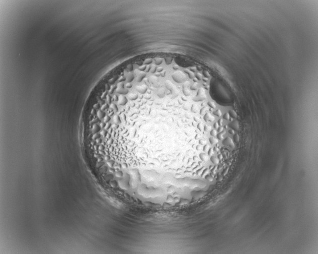 X0000073871125200608312045