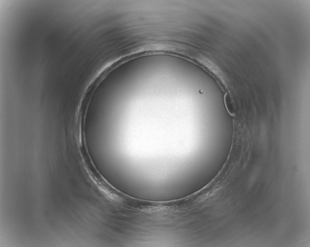 X0000073871127200608312045