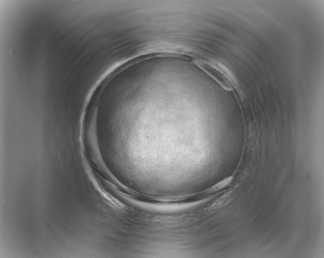 X0000073871128200608312045