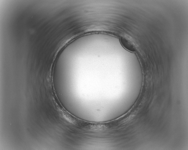 X0000073871129200608312045