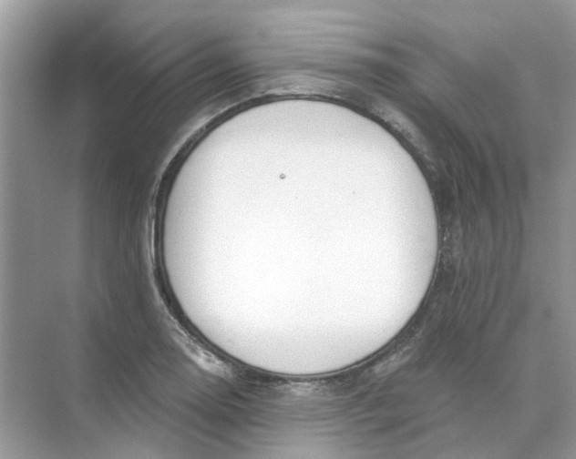 X0000073871130200608312045