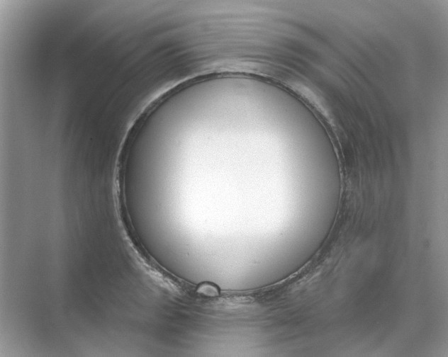 X0000073871133200608312046