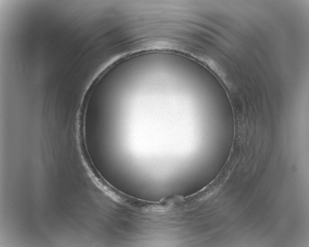 X0000073871134200608312046