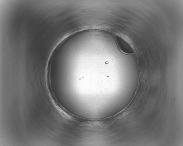 X0000073871135200608312046