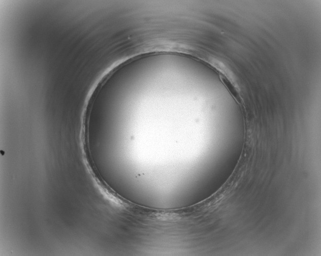 X0000073871136200608312046