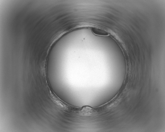 X0000073871137200608312046