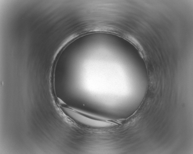 X0000073871138200608312046