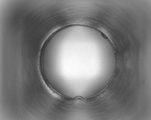 X0000073871139200608312046