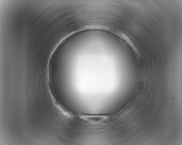 X0000073871140200608312046