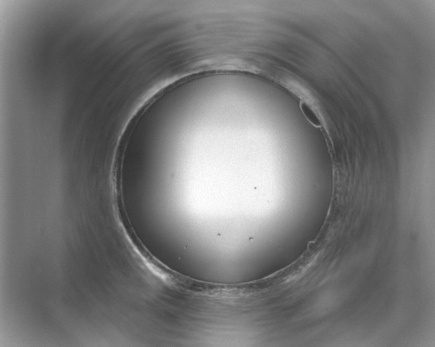 X0000073871141200608312046