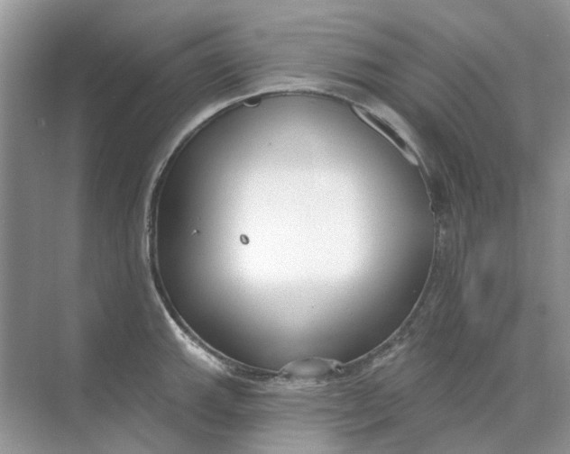 X0000073871143200608312046