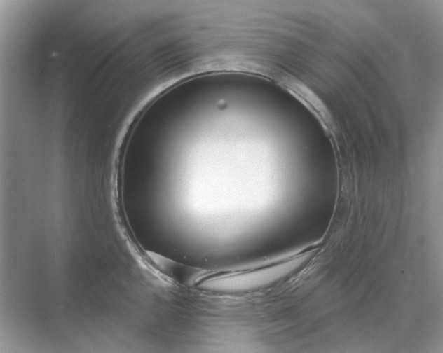 X0000073871144200608312046