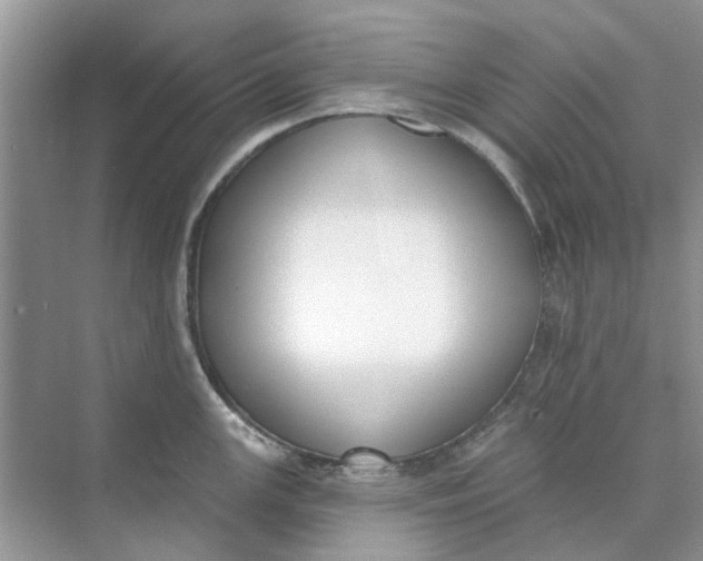 X0000073871147200608312046