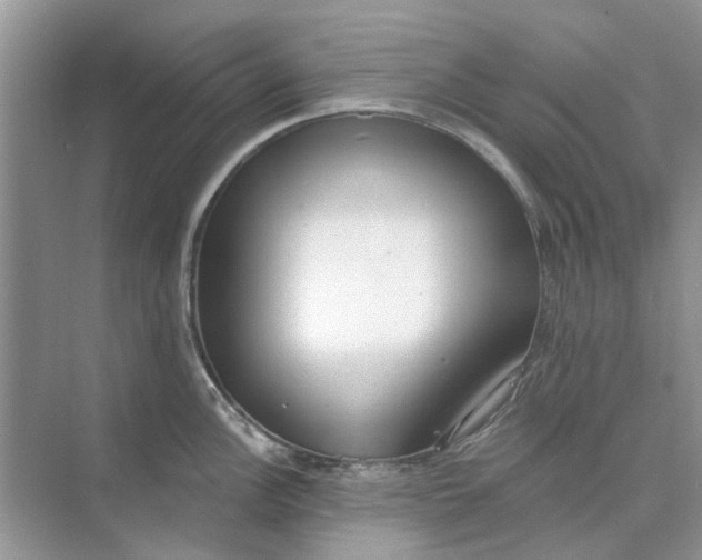 X0000073871148200608312046