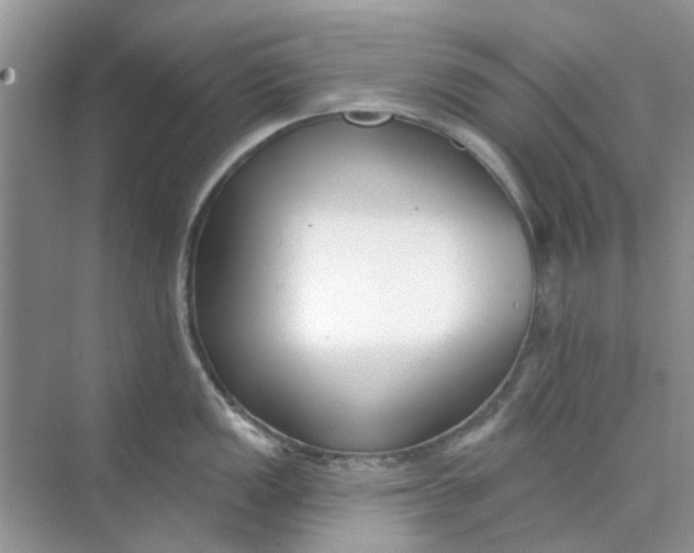 X0000073871149200608312046