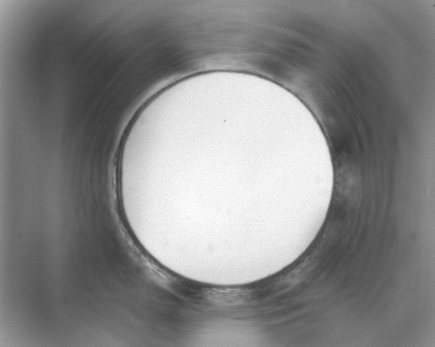 X0000073871150200608312046