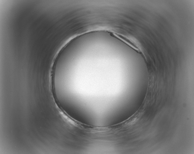 X0000073871151200608312046