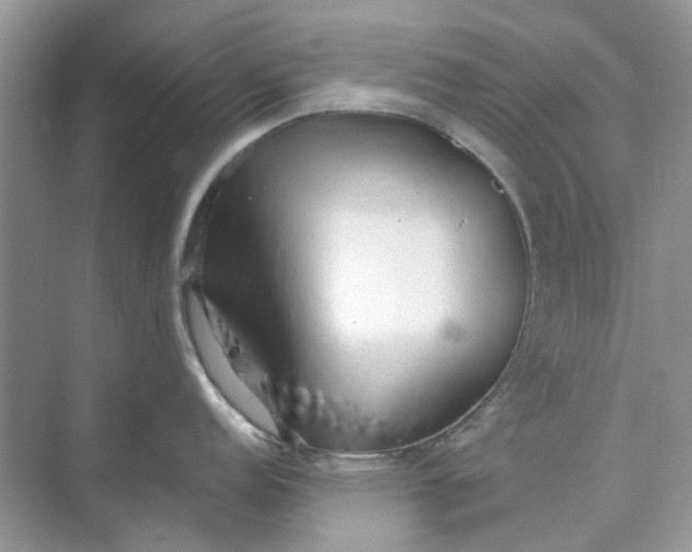 X0000073871152200608312046