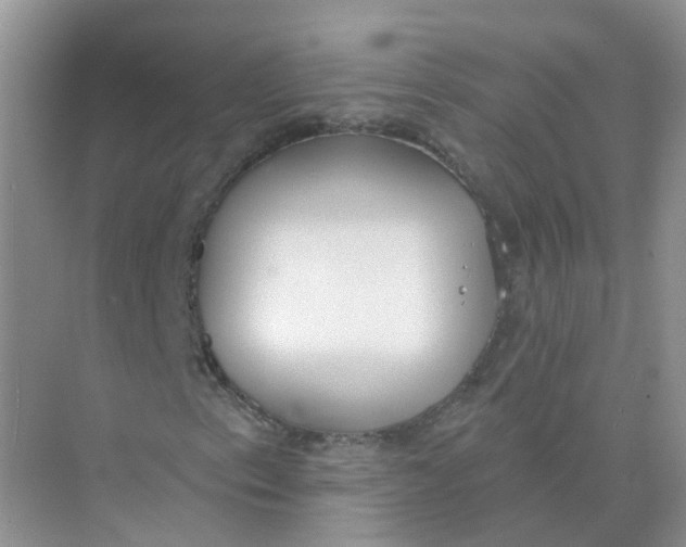 X0000073871153200608312045