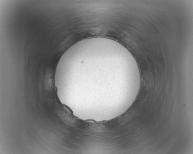 X0000073871154200608312045