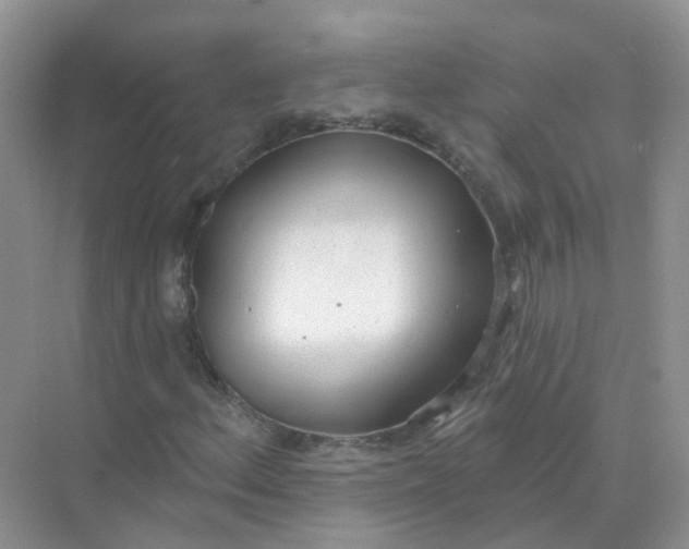 X0000073871156200608312045