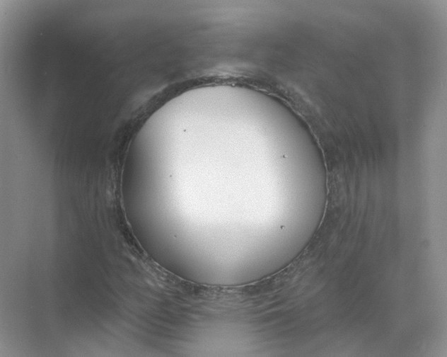 X0000073871158200608312045