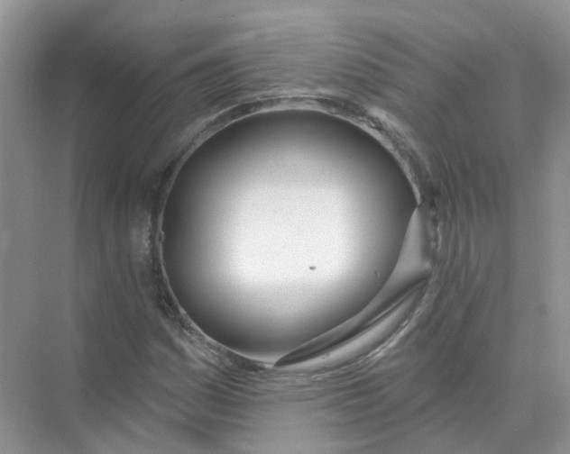 X0000073871161200608312045