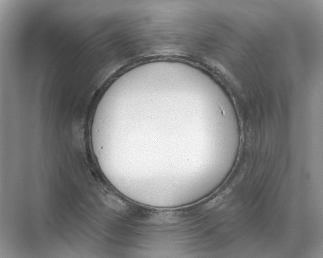 X0000073871162200608312045