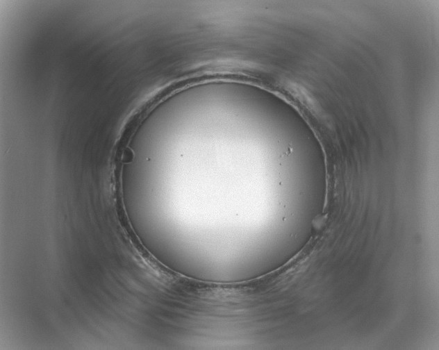 X0000073871164200608312045