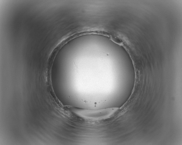 X0000073871165200608312045