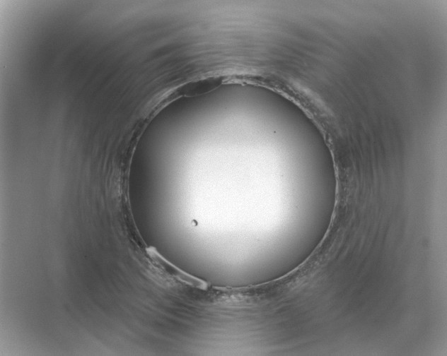 X0000073871169200608312045