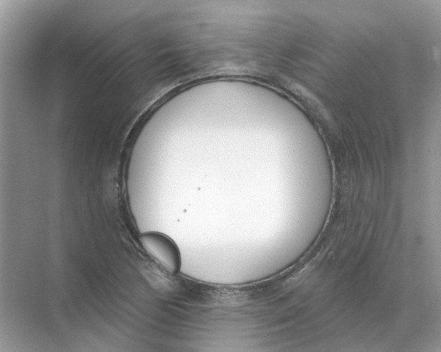 X0000073871170200608312045