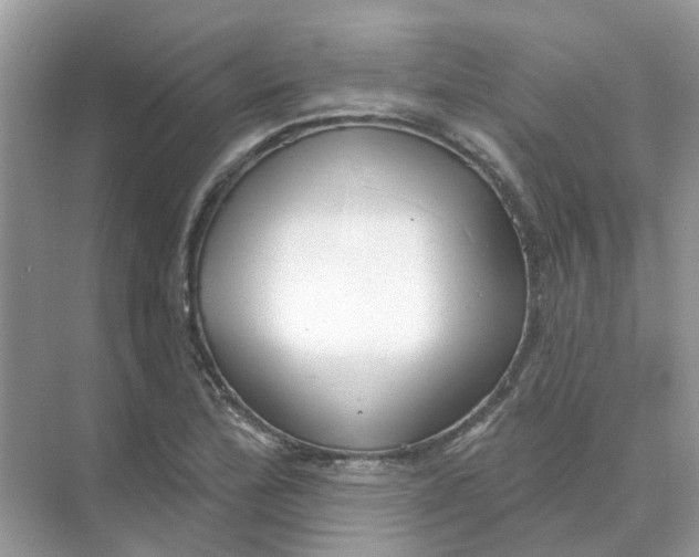 X0000073871172200608312045