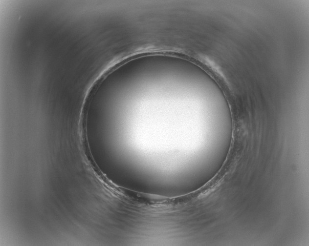 X0000073871173200608312045