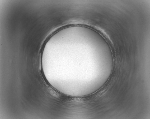 X0000073871175200608312045