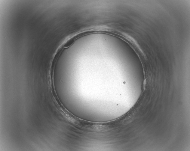 X0000073871176200608312045